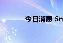 今日消息 Snap盘后跌超22%