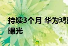 持续3个月 华为鸿蒙3.0升级机型和推送时间曝光