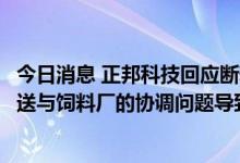 今日消息 正邦科技回应断料：公司资金相对紧张，因物流配送与饲料厂的协调问题导致