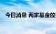 今日消息 两家基金放开申购大额申购限制