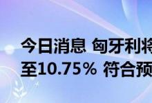 今日消息 匈牙利将基准利率上调100个基点至10.75％ 符合预期