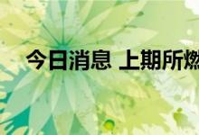 今日消息 上期所燃油期货主力合约跌2%