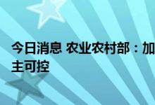 今日消息 农业农村部：加快推进种业科技自立自强、种源自主可控