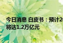 今日消息 白皮书：预计2025年即时零售开放平台模式规模将达1.2万亿元