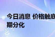 今日消息 价格触底迎旺季水泥行业下半年预期分化