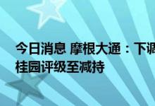 今日消息 摩根大通：下调碧桂园服务评级至中性 一举降碧桂园评级至减持