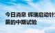 今日消息 辉瑞启动针对Omicron亚变异株疫苗的中期试验