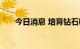 今日消息 培育钻石概念板块继续活跃