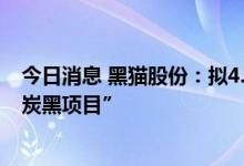 今日消息 黑猫股份：拟4.2亿元投资新建“5万吨/年超导电炭黑项目”