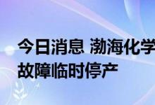 今日消息 渤海化学：全资子公司PDH装置因故障临时停产
