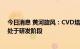 今日消息 黄河旋风：CVD培育钻石制作方法等开发技术尚处于研发阶段