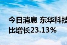 今日消息 东华科技业绩快报：上半年净利同比增长23.13%