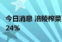 今日消息 涪陵榨菜：上半年净利同比增长37.24%