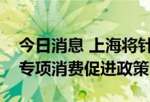 今日消息 上海将针对汽车、家电等领域出台专项消费促进政策