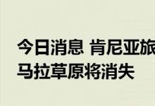 今日消息 肯尼亚旅游部：如不采取行动 马赛马拉草原将消失