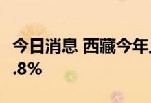 今日消息 西藏今年上半年地区生产总值增长4.8%