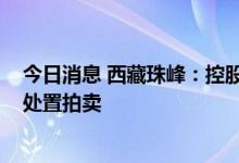 今日消息 西藏珠峰：控股股东所持3.5%公司股份将被司法处置拍卖