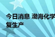今日消息 渤海化学：全资子公司PDH装置恢复生产