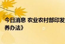 今日消息 农业农村部印发《农机使用一线“土专家”遴选培养办法》
