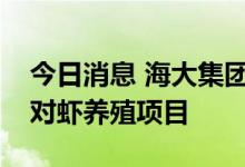 今日消息 海大集团联手越秀集团在湛江开展对虾养殖项目