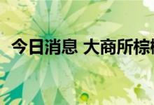 今日消息 大商所棕榈期货主力合约大跌7%