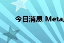 今日消息 Meta启动四部分债券发售