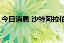 今日消息 沙特阿拉伯宣布申办2029年亚冬会