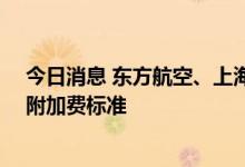 今日消息 东方航空、上海航空8月5日起调整国内航线燃油附加费标准