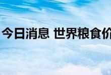 今日消息 世界粮食价格指数跌至1月以来最低