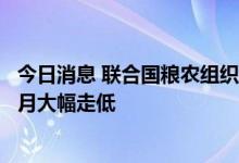 今日消息 联合国粮农组织：联合国粮农组织食品价格指数七月大幅走低