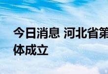 今日消息 河北省第三代半导体产业创新联合体成立
