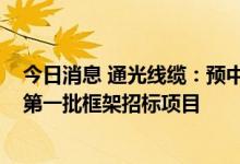 今日消息 通光线缆：预中标南方电网2022年主网线路材料第一批框架招标项目
