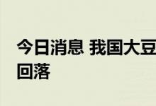 今日消息 我国大豆进口量下降 进口大豆价格回落