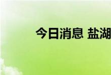 今日消息 盐湖提锂板块异动拉升