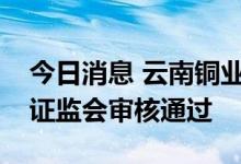 今日消息 云南铜业：非公开发行股票申请获证监会审核通过