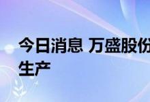 今日消息 万盛股份：全资子公司山东汉峰试生产