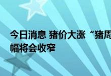今日消息 猪价大涨“猪周期”再引热议  专家称未来价格振幅将会收窄