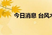 今日消息 台风木兰已登陆广东徐闻