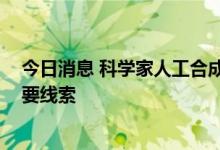 今日消息 科学家人工合成小鼠胚胎 或为干细胞疗法提供重要线索