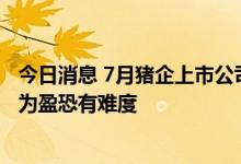 今日消息 7月猪企上市公司销售收入同比大增 年度业绩扭亏为盈恐有难度