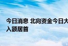 今日消息 北向资金今日大幅净买入132.95亿元 比亚迪净买入额居首