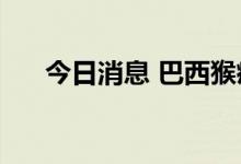 今日消息 巴西猴痘确诊病例达2415例