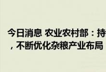 今日消息 农业农村部：持续加大对杂粮产业发展的支持力度，不断优化杂粮产业布局