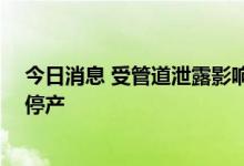 今日消息 受管道泄露影响 壳牌在墨西哥湾的三个深水平台停产