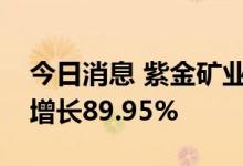 今日消息 紫金矿业：上半年实现净利润同比增长89.95%