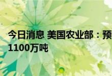 今日消息 美国农业部：预计2022/23年乌克兰小麦出口量为1100万吨