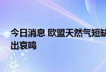 今日消息 欧盟天然气短缺将威胁疫苗供应 玻璃行业正在发出哀鸣