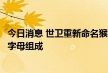 今日消息 世卫重新命名猴痘病毒分支：罗马数字和小写英文字母组成