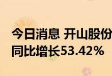 今日消息 开山股份：上半年净利润2.31亿元 同比增长53.42%