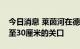 今日消息 莱茵河在德国关键航点的水位下降至30厘米的关口